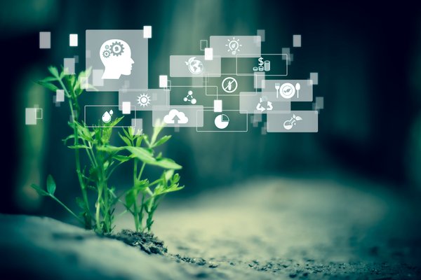 Applications of AI